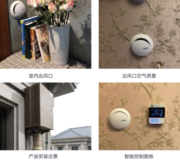 嘉兴东方艺墅排屋