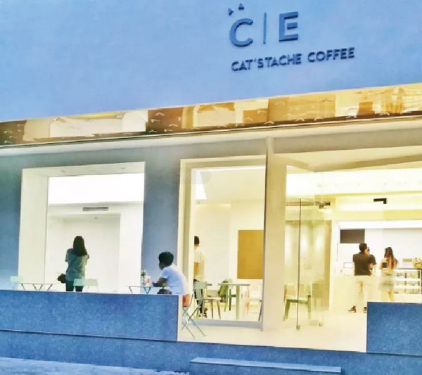 猫咖CAT'S TACHE COFFEE